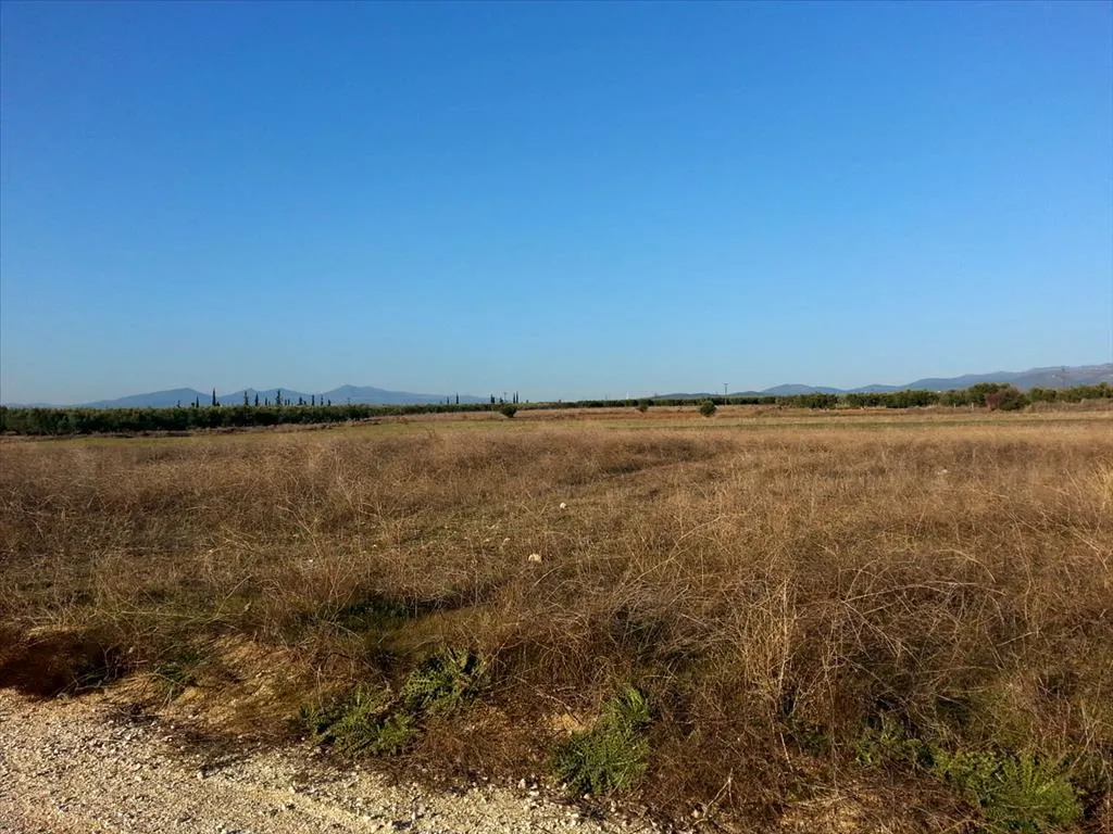 οικόπεδο προς πώληση 16600 τ.μ Σιθωνία Χαλκιδική