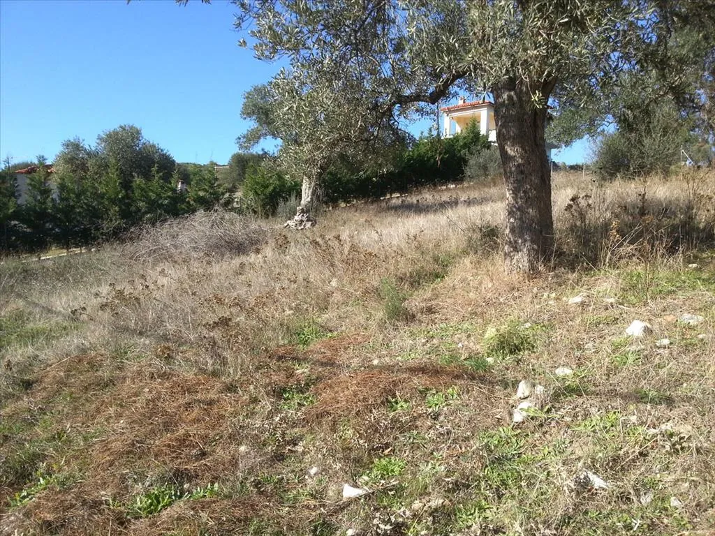 οικόπεδο προς πώληση 1830 τ.μ Σιθωνία Χαλκιδική