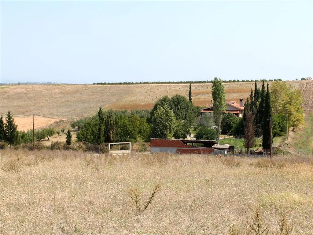 οικόπεδο προς πώληση 10000 τ.μ Κασσάνδρα Χαλκιδική