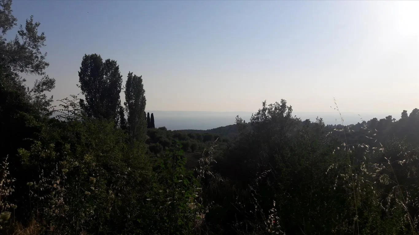 οικόπεδο προς πώληση 1417 τ.μ Σιθωνία Χαλκιδική