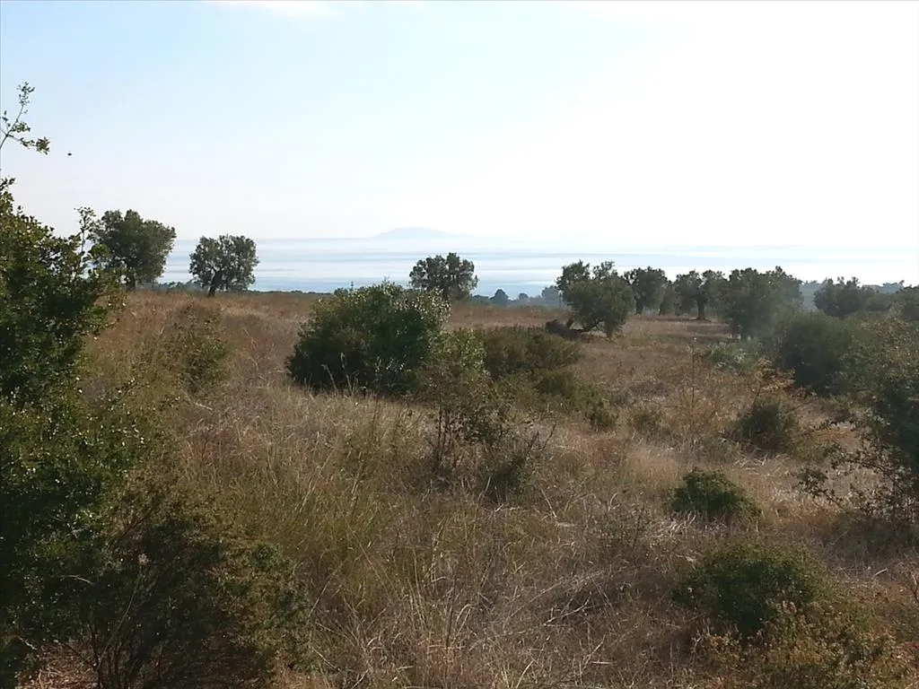 οικόπεδο προς πώληση 13828 τ.μ Σιθωνία Χαλκιδική