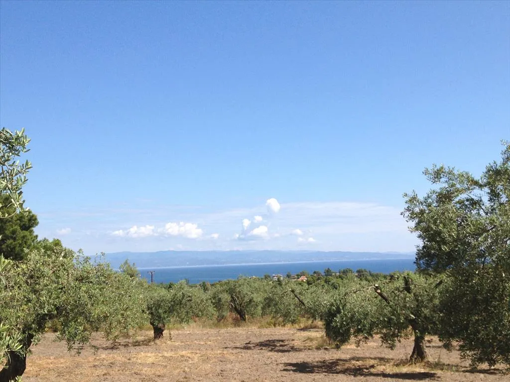 οικόπεδο προς πώληση 12100 τ.μ Σιθωνία Χαλκιδική