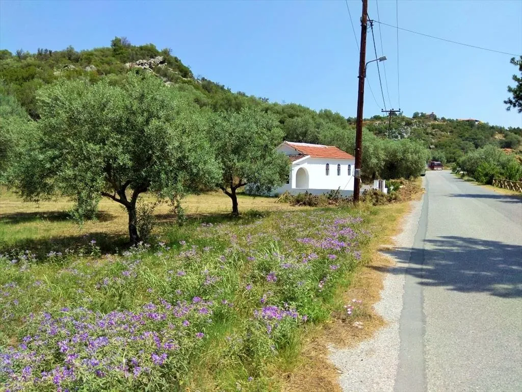 οικόπεδο προς πώληση 2920 τ.μ Αριστοτέλης Χαλκιδική