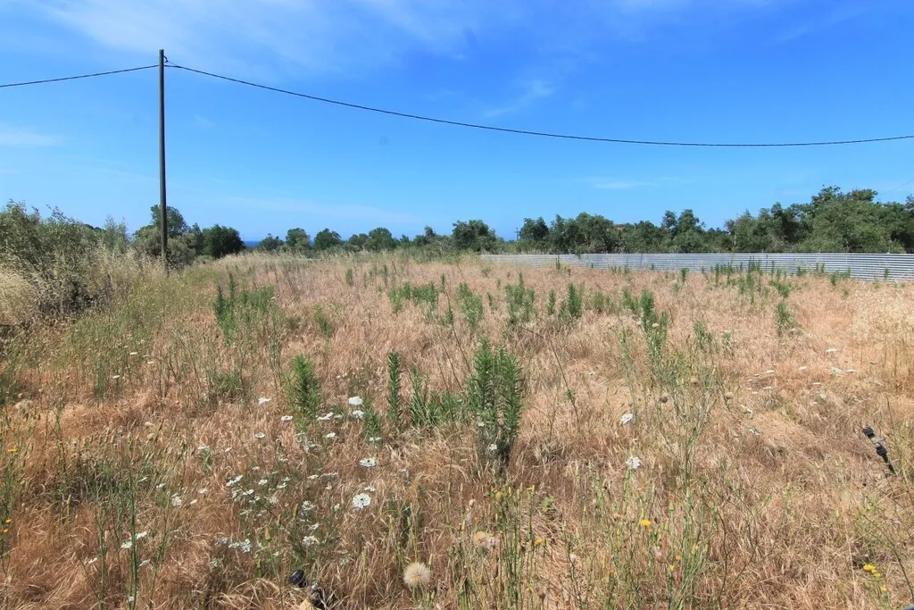 οικόπεδο προς πώληση 10000 τ.μ Κέρκυρα Νομός Κέρκυρας