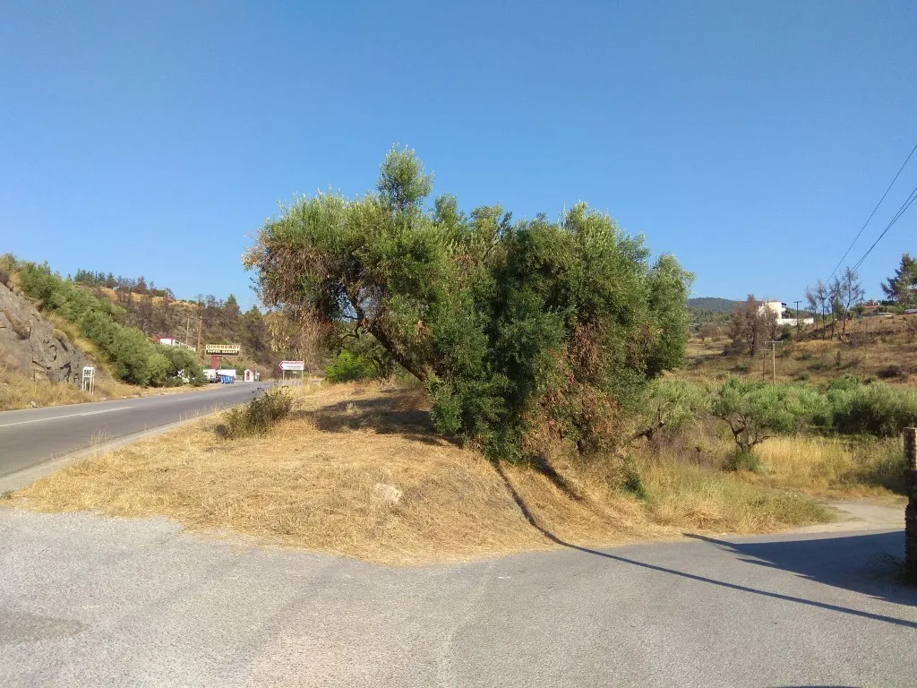 οικόπεδο προς πώληση 750 τ.μ Σιθωνία Χαλκιδική