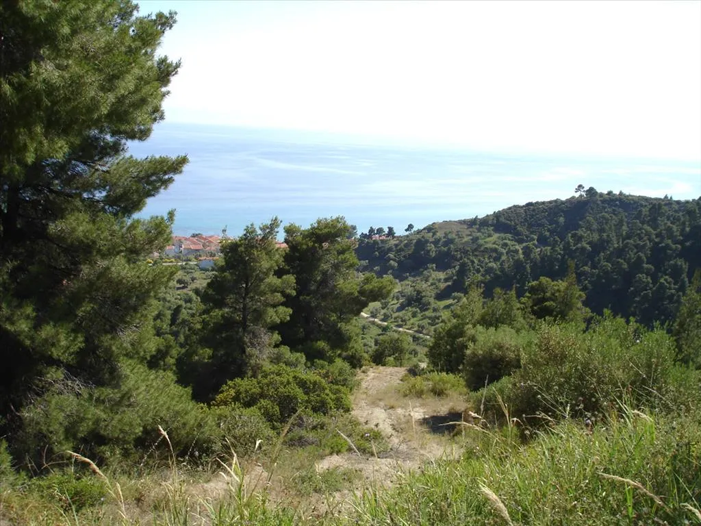 οικόπεδο προς πώληση 4465 τ.μ Κασσάνδρα Χαλκιδική