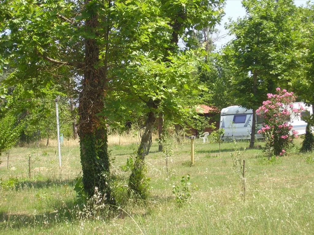 οικόπεδο προς πώληση  τ.μ Αριστοτέλης Χαλκιδική