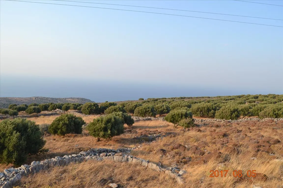 οικόπεδο προς πώληση 3000 τ.μ Άγιος Νικόλαος Νομός Λασιθίου