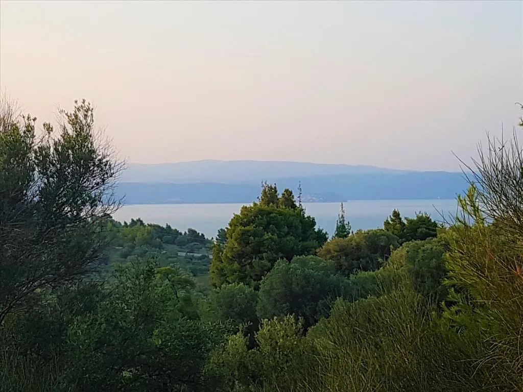 οικόπεδο προς πώληση 3350 τ.μ Σιθωνία Χαλκιδική