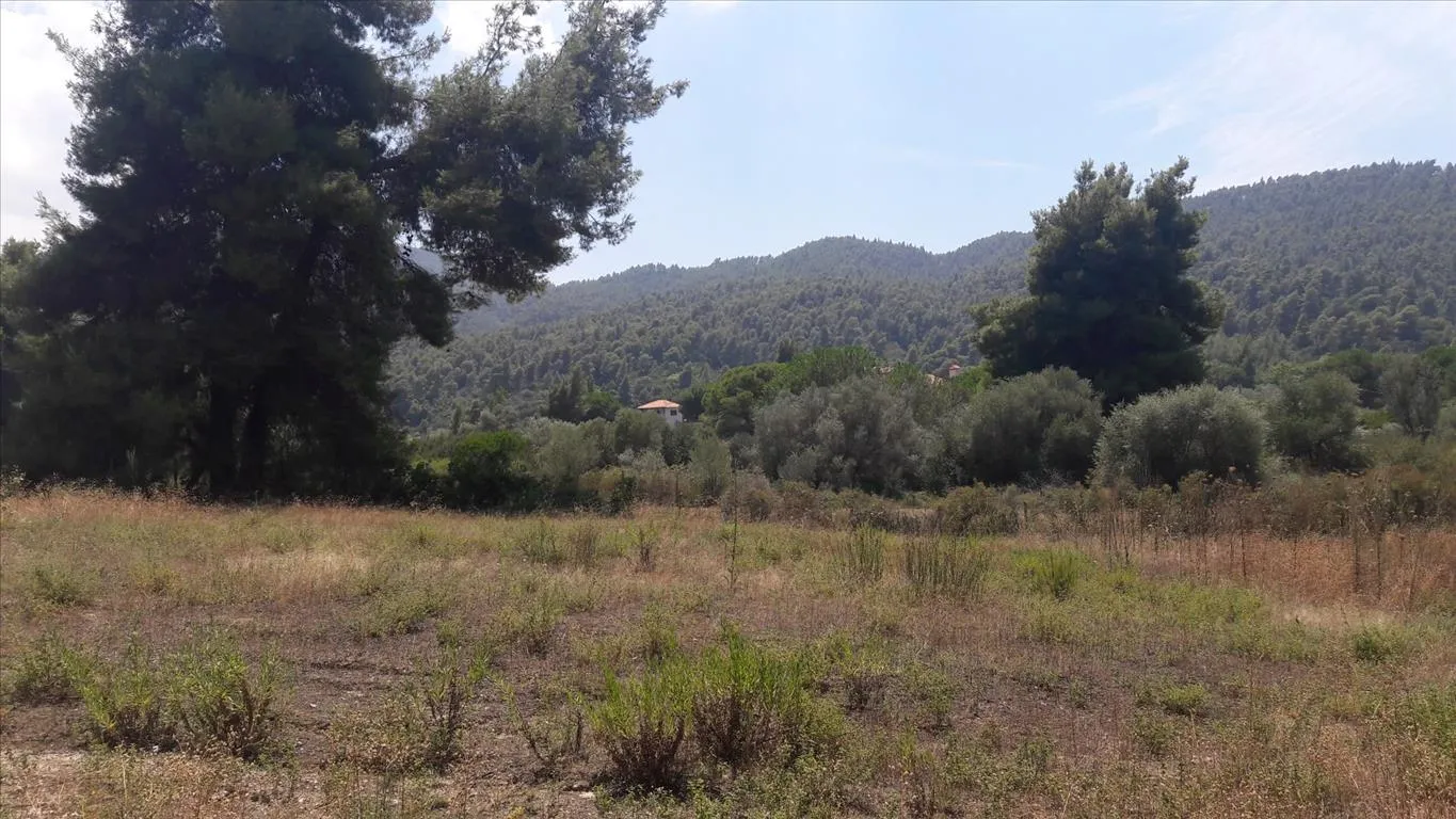 οικόπεδο προς πώληση 6013 τ.μ Σιθωνία Χαλκιδική