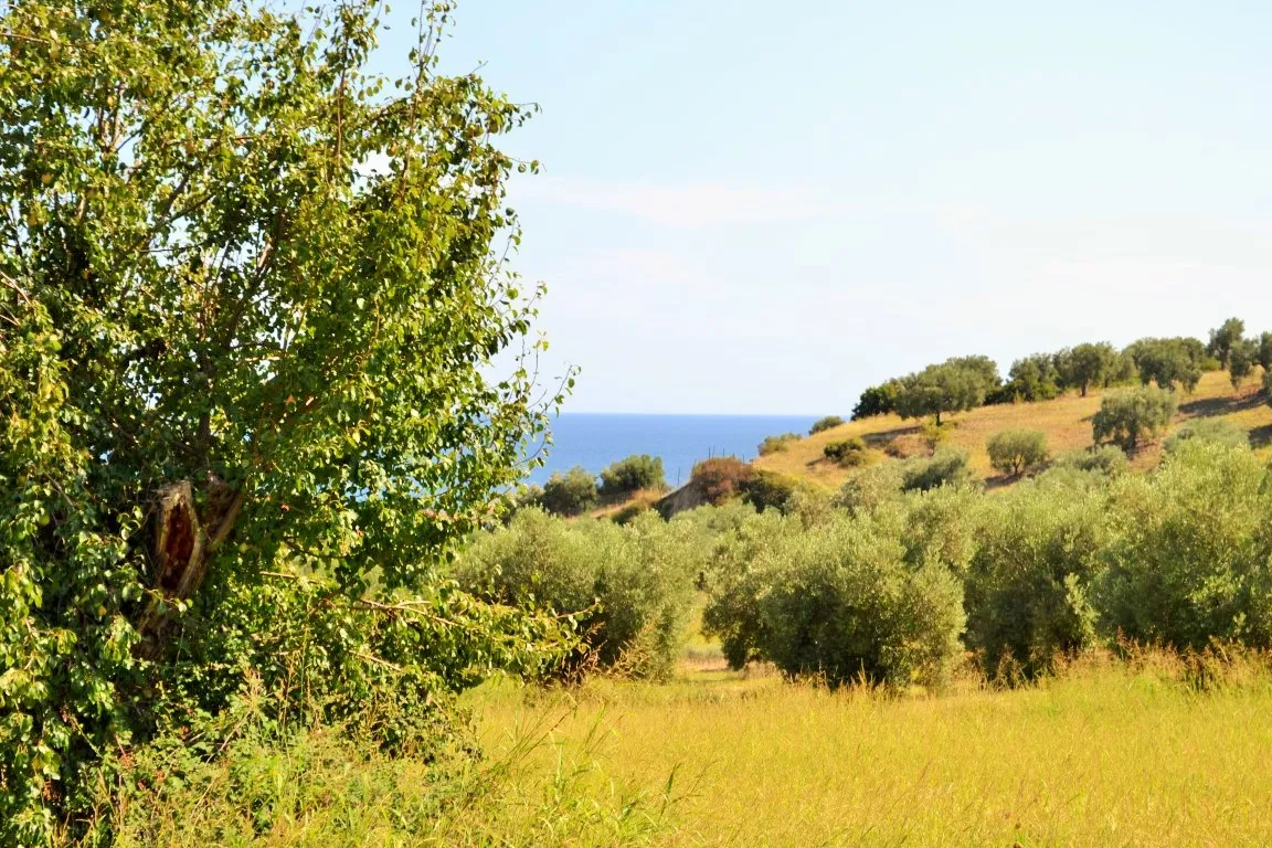 οικόπεδο προς πώληση 4013 τ.μ Κασσάνδρα Χαλκιδική