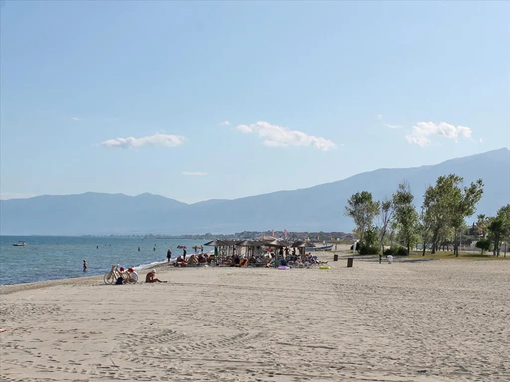 οικόπεδο προς πώληση 6750 τ.μ Κατερίνη Νομός Πιερίας