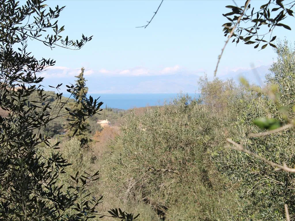 οικόπεδο προς πώληση 5015 τ.μ Κέρκυρα Νομός Κέρκυρας