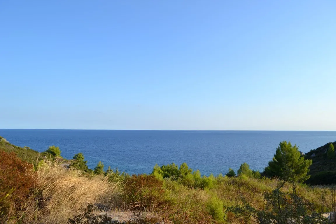 οικόπεδο προς πώληση 6616 τ.μ Κασσάνδρα Χαλκιδική