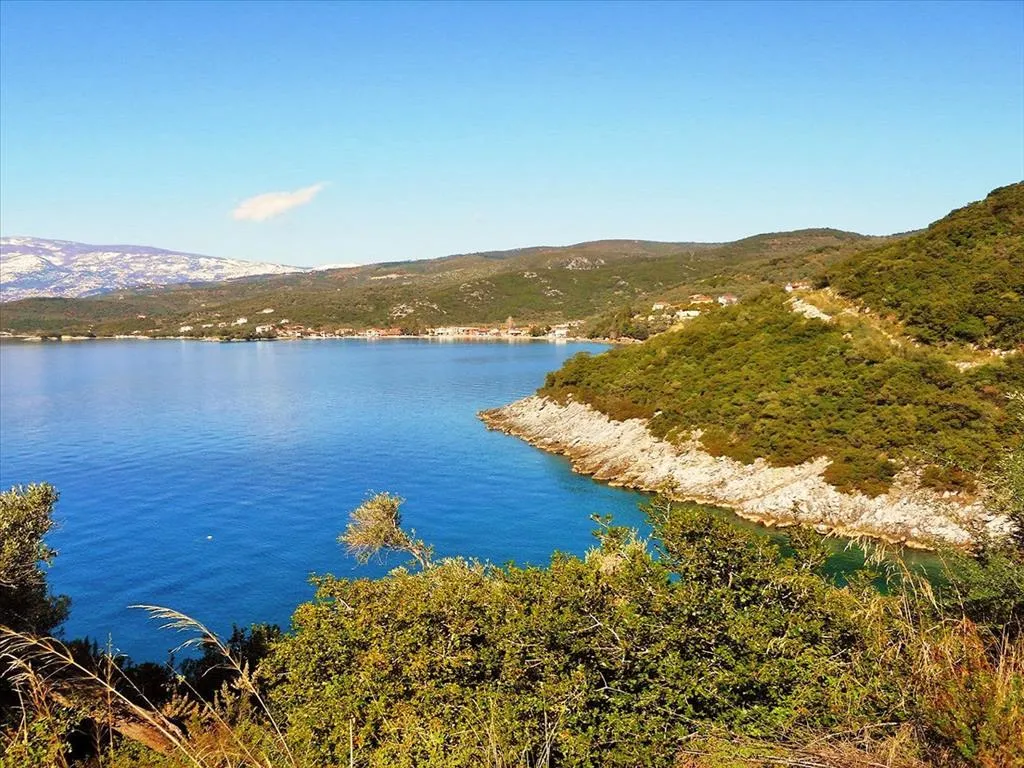οικόπεδο προς πώληση 2500 τ.μ Αφέτες Μαγνησία