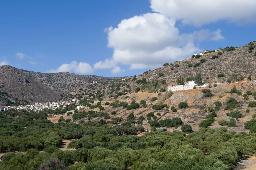 οικόπεδο προς πώληση 550 τ.μ Ελούντα Νομός Λασιθίου