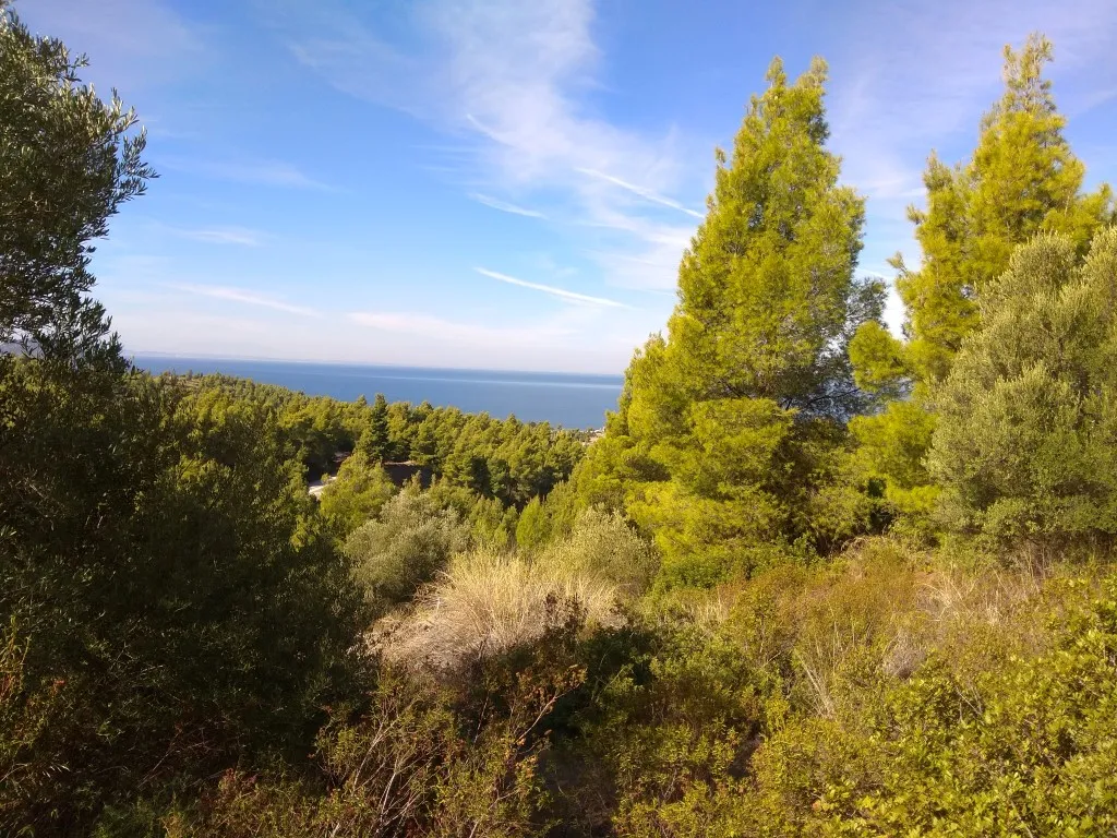 οικόπεδο προς πώληση 7250 τ.μ Σιθωνία Χαλκιδική