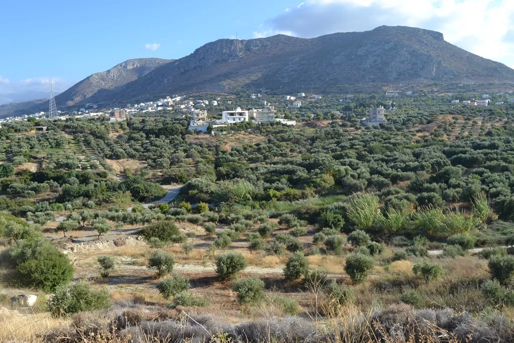 οικόπεδο προς πώληση 25000 τ.μ Χερσόνησος Νομός Ηρακλείου