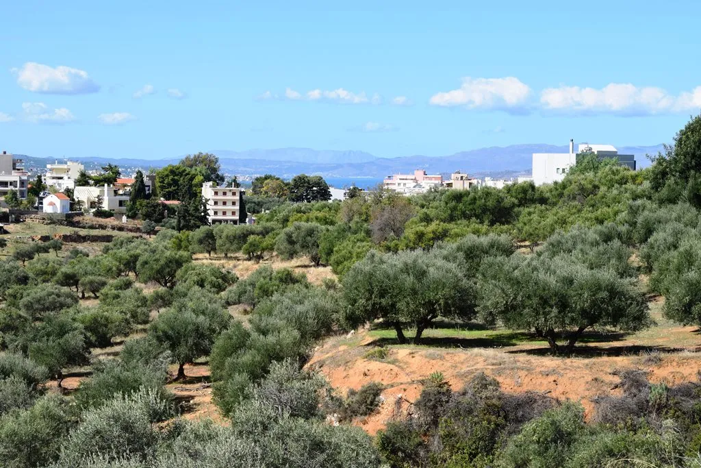 οικόπεδο προς πώληση 9848 τ.μ Χανιά Νομός Χανίων