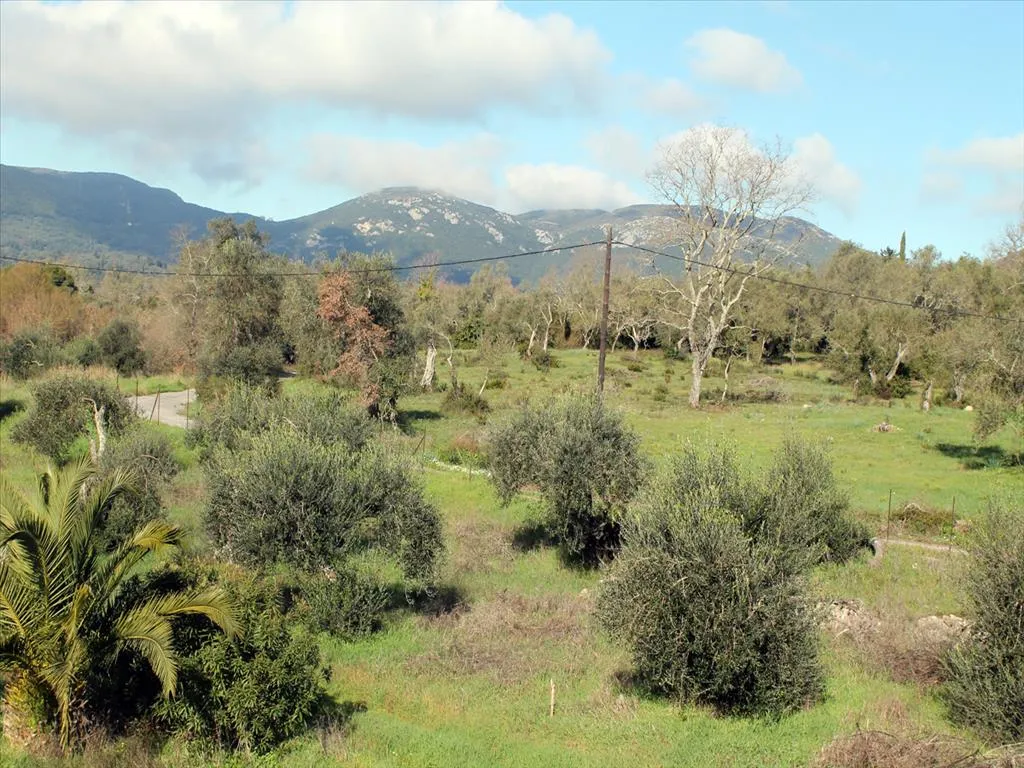 οικόπεδο προς πώληση 6000 τ.μ Κέρκυρα Νομός Κέρκυρας