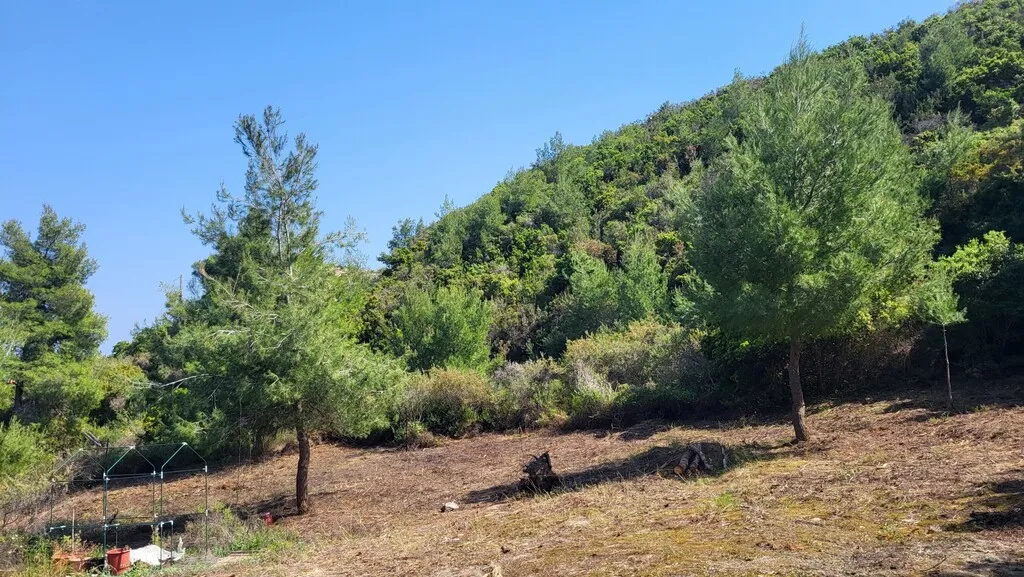 οικόπεδο προς πώληση 4500 τ.μ Κασσάνδρα Χαλκιδική