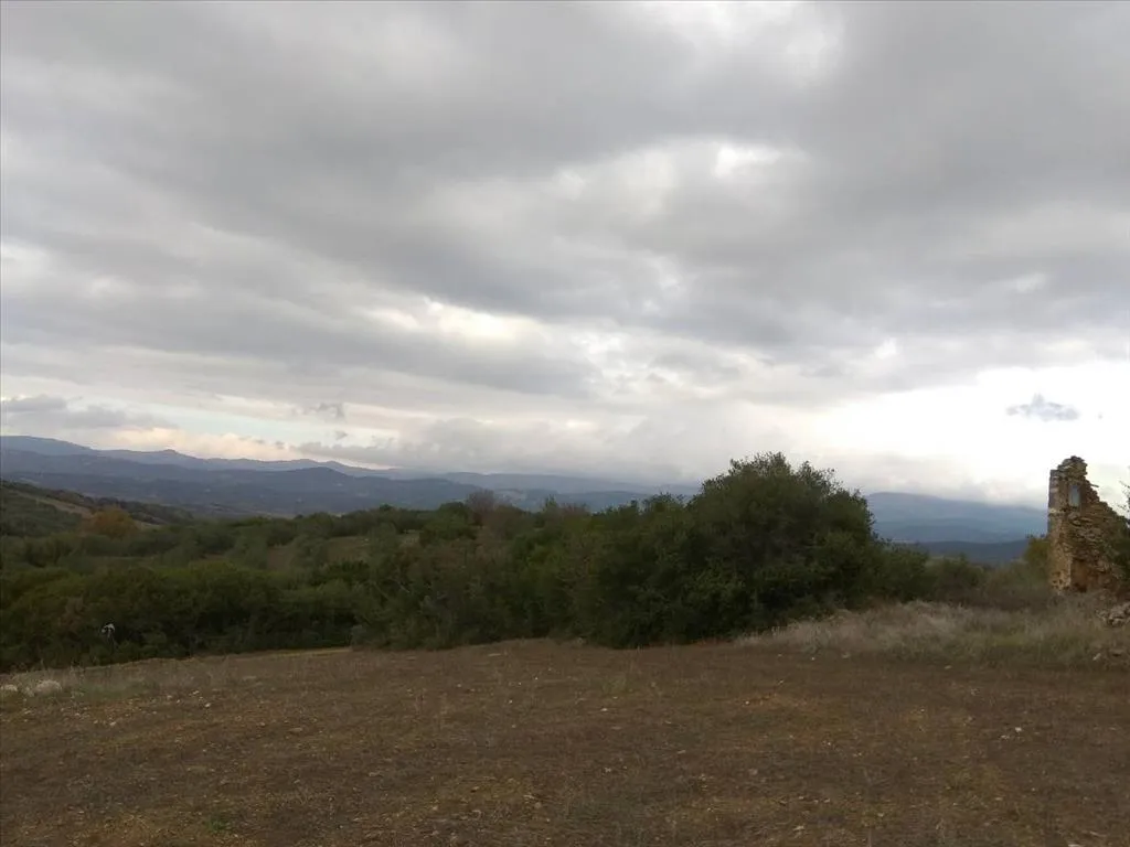 οικόπεδο προς πώληση 13000 τ.μ Αριστοτέλης Χαλκιδική