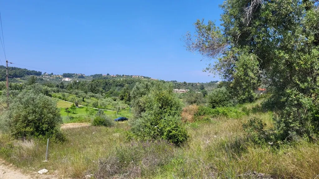 οικόπεδο προς πώληση 4000 τ.μ Κασσάνδρα Χαλκιδική