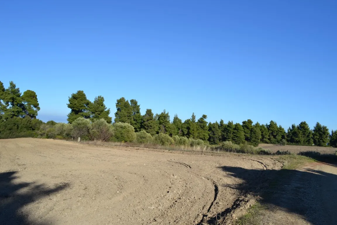 οικόπεδο προς πώληση 4319 τ.μ Κασσάνδρα Χαλκιδική