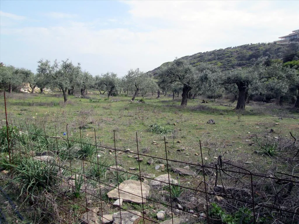 1024