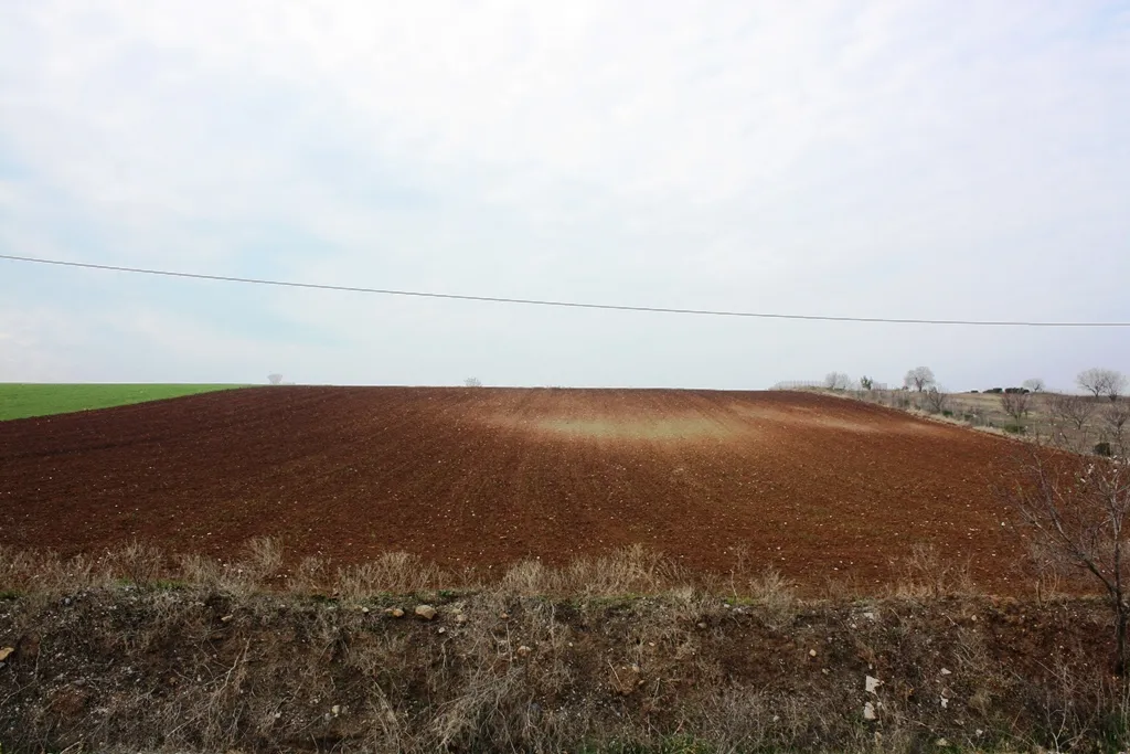 οικόπεδο προς πώληση 11500 τ.μ Μίκρα Προάστια Θεσσαλονίκης