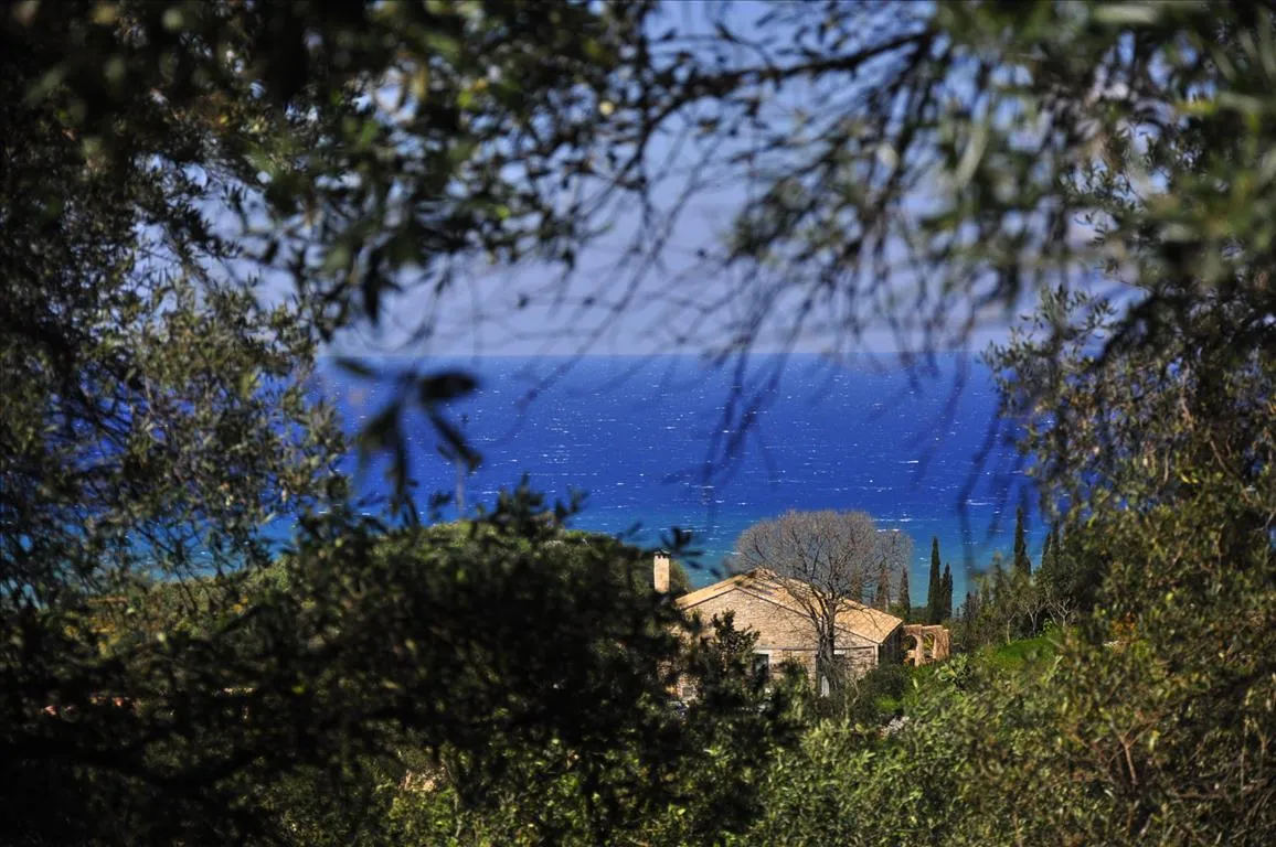 οικόπεδο προς πώληση 15000 τ.μ Κέρκυρα Νομός Κέρκυρας