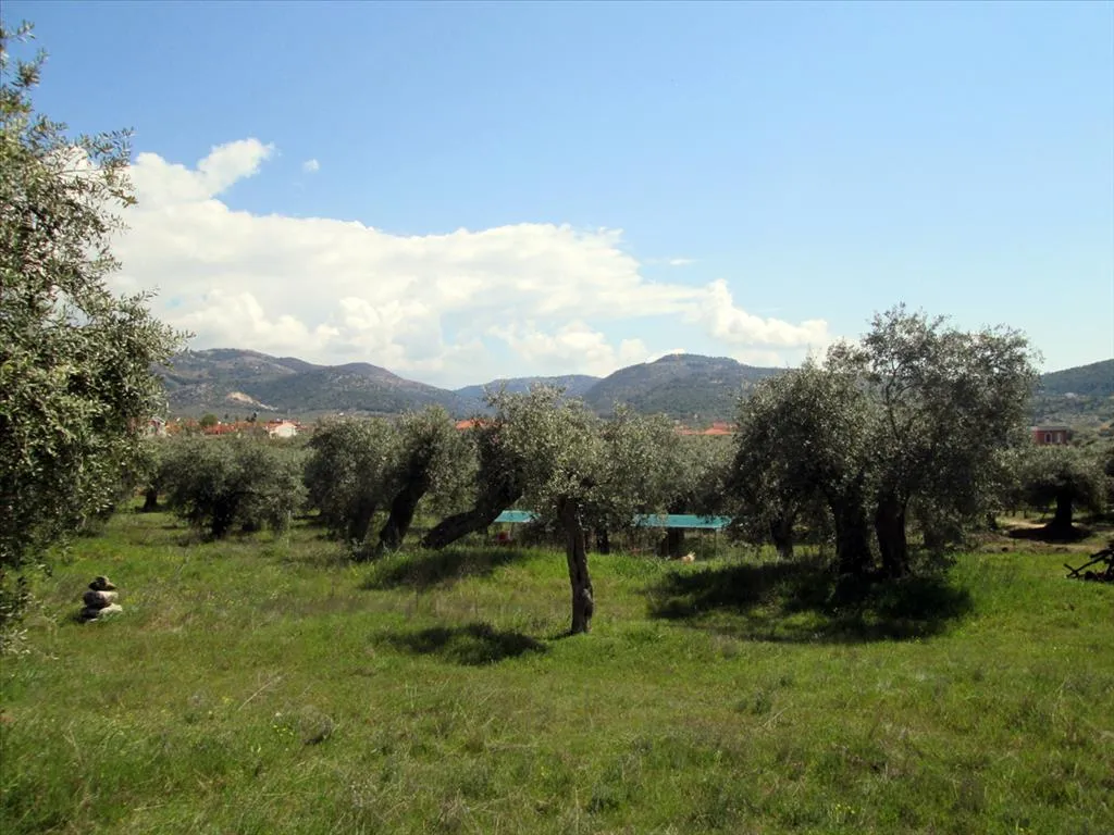 οικόπεδο προς πώληση 2995 τ.μ Θάσος Νομός Καβάλας