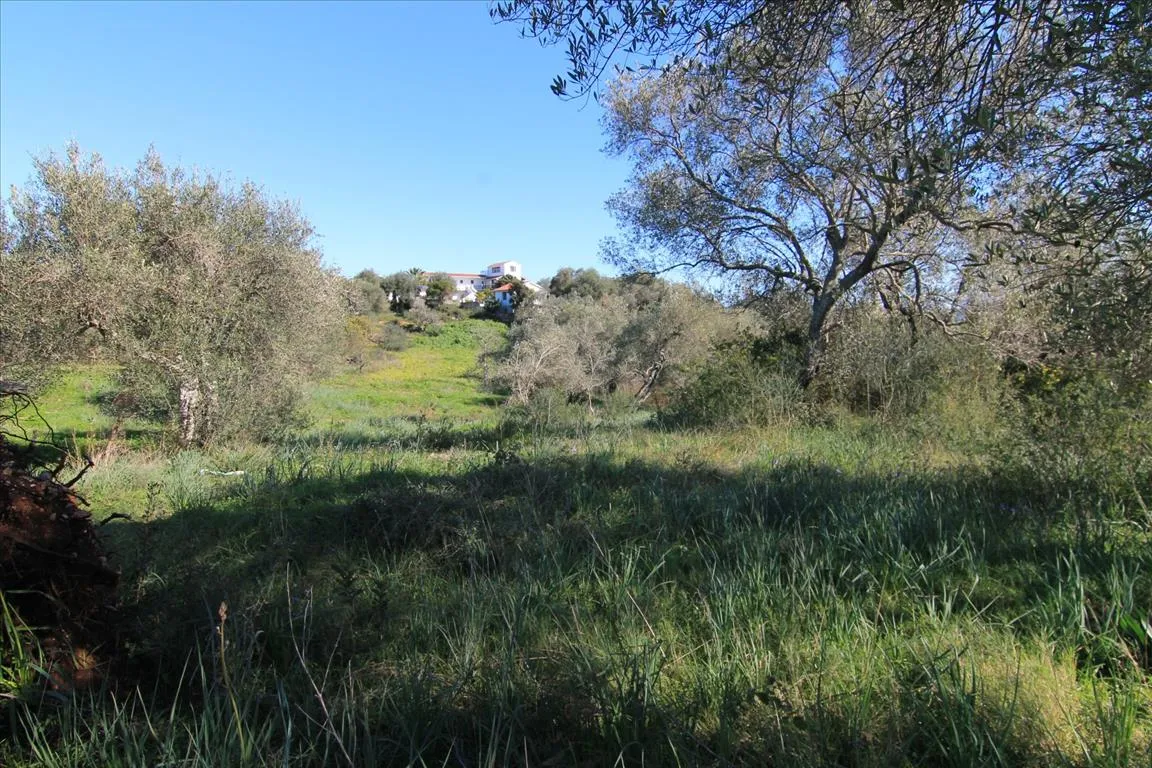 1152
