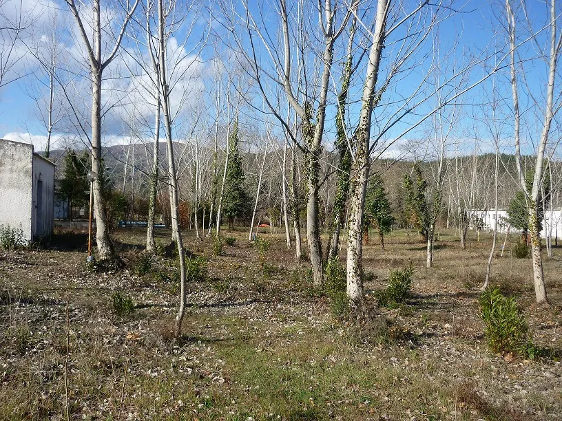 εμπορικό ακίνητο προς πώληση 262 τ.μ Αριστοτέλης Χαλκιδική