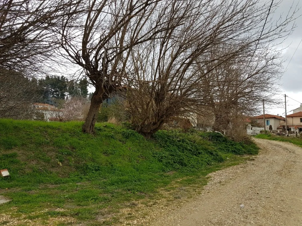 οικόπεδο προς πώληση 846 τ.μ Κασσάνδρα Χαλκιδική