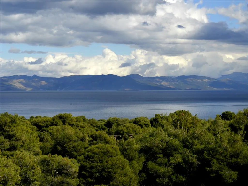 μονοκατοικία προς πώληση 244 τ.μ Μαραθώνας Ανατολικά Αθήνας