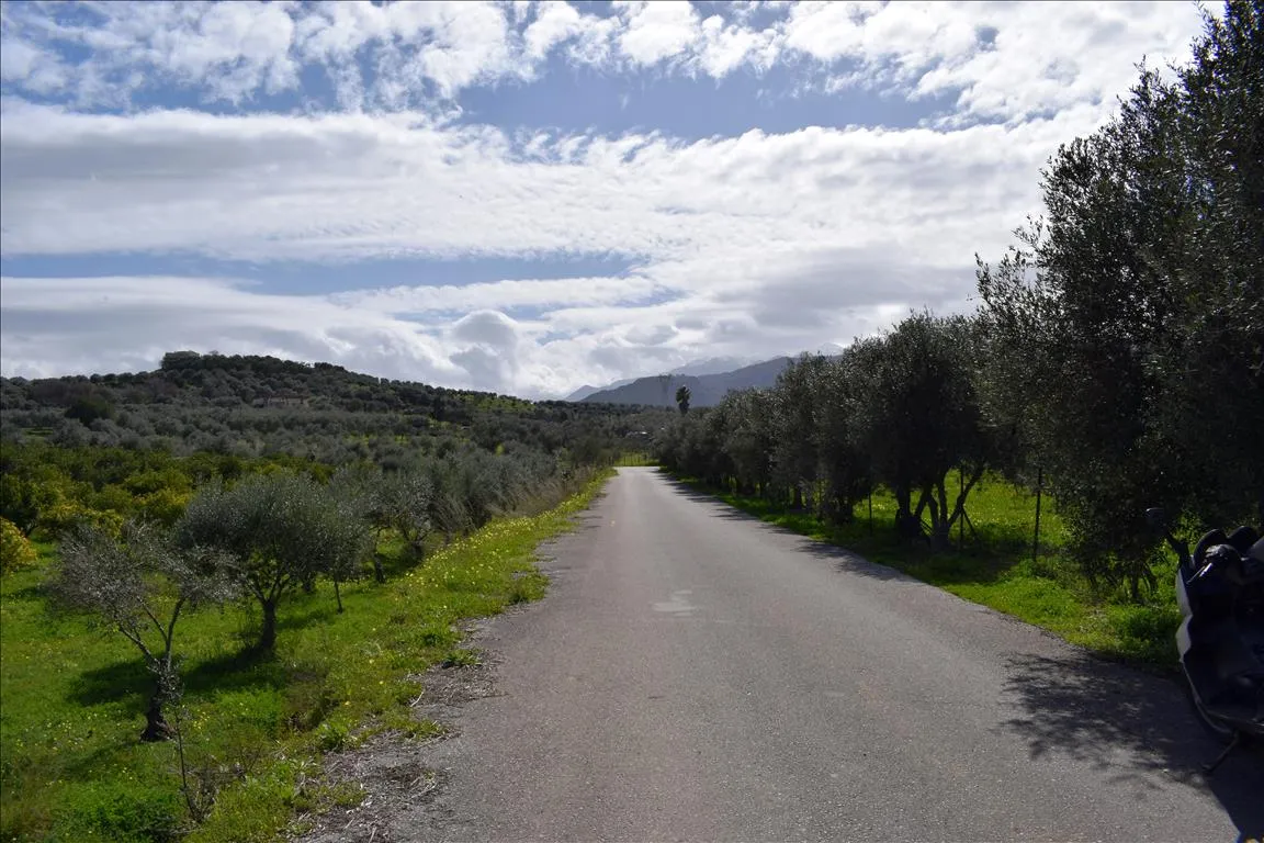 οικόπεδο προς πώληση 11000 τ.μ  Νομός Χανίων