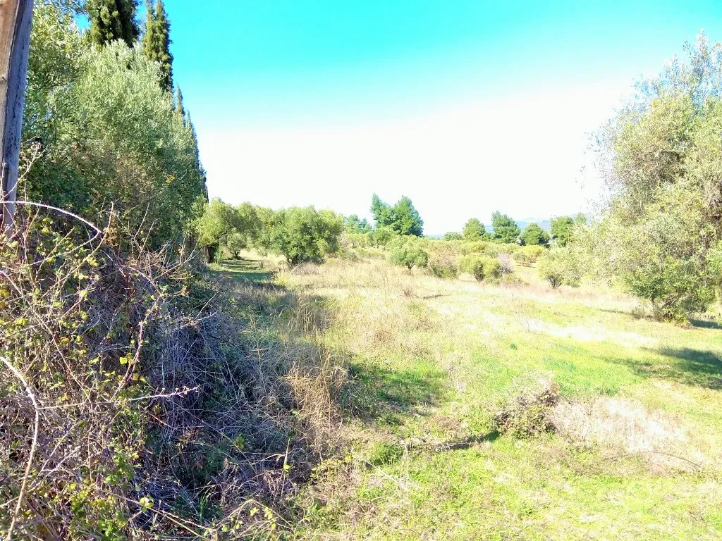 οικόπεδο προς πώληση 5200 τ.μ Σιθωνία Χαλκιδική