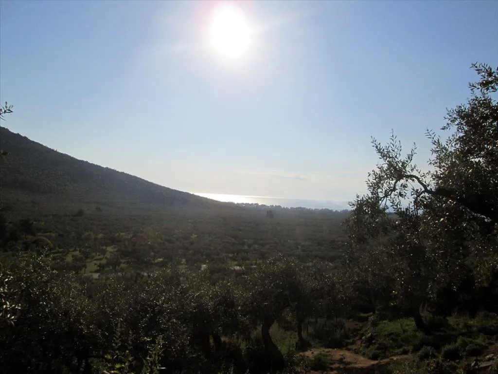οικόπεδο προς πώληση 5365 τ.μ Θάσος Νομός Καβάλας