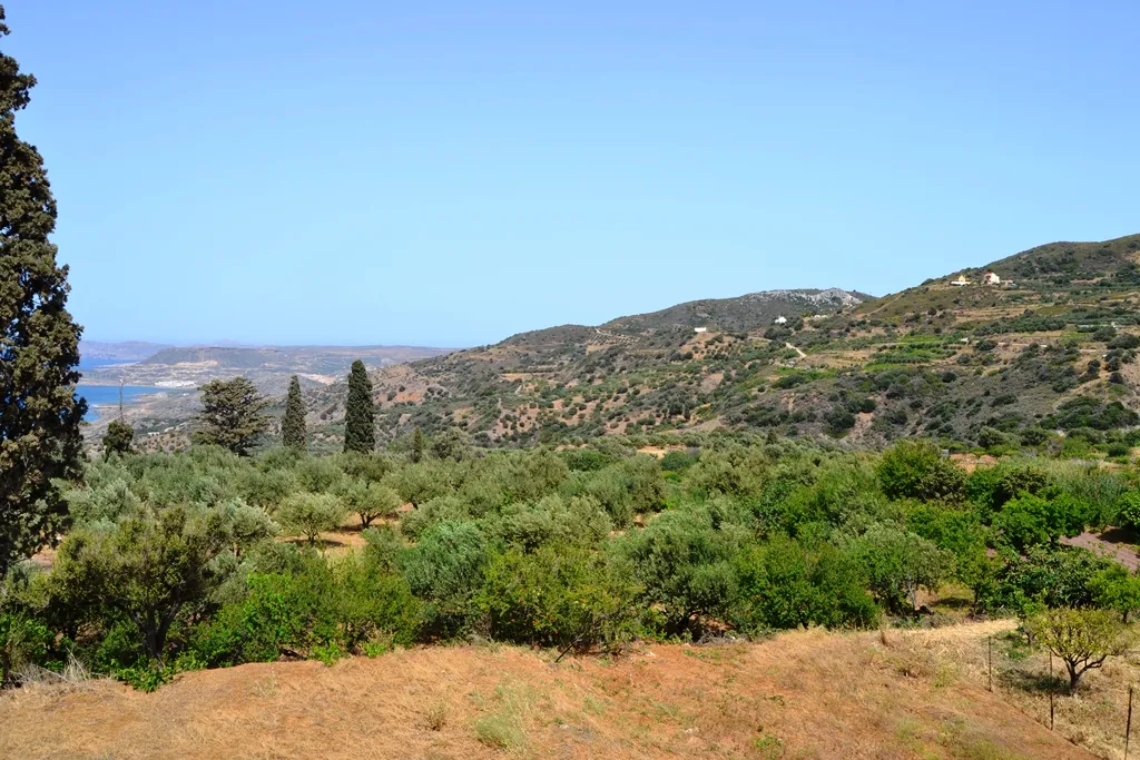 οικόπεδο προς πώληση 2700 τ.μ Σητεία Νομός Λασιθίου