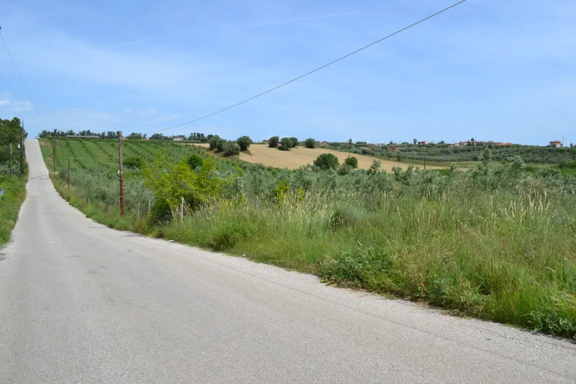 οικόπεδο προς πώληση 4600 τ.μ Κασσάνδρα Χαλκιδική