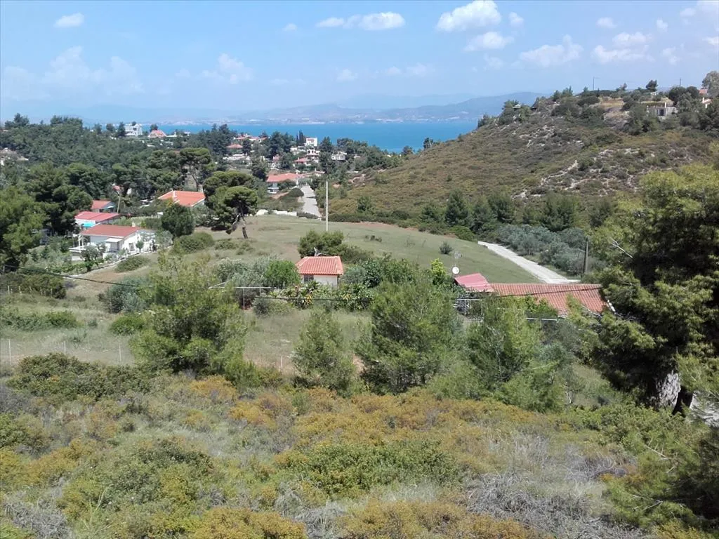 μονοκατοικία προς πώληση 162 τ.μ Κοιν. Σκάλας Ωρωπού Υπόλοιπη Αττικής