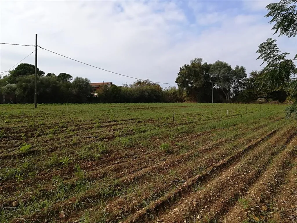 οικόπεδο προς πώληση 5622 τ.μ Πρέβεζα Νομός Πρέβεζας