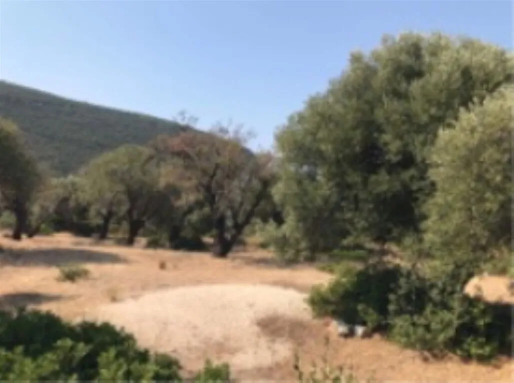 οικόπεδο προς πώληση 13650 τ.μ  Νομός Λευκάδας