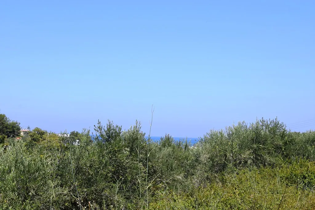 οικόπεδο προς πώληση 5500 τ.μ Αρκάδι Νομός Ρεθύμνου