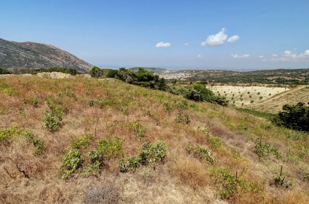 οικόπεδο προς πώληση 5172 τ.μ Αρχάνες Νομός Ηρακλείου