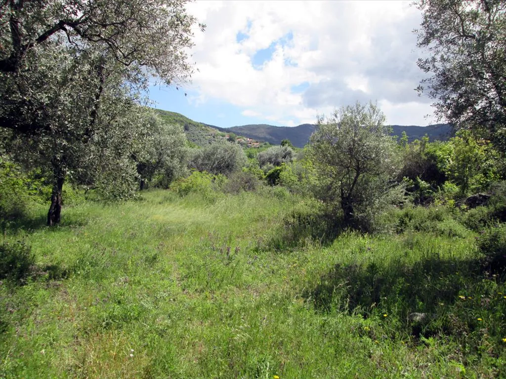 οικόπεδο προς πώληση 2720 τ.μ Θάσος Νομός Καβάλας