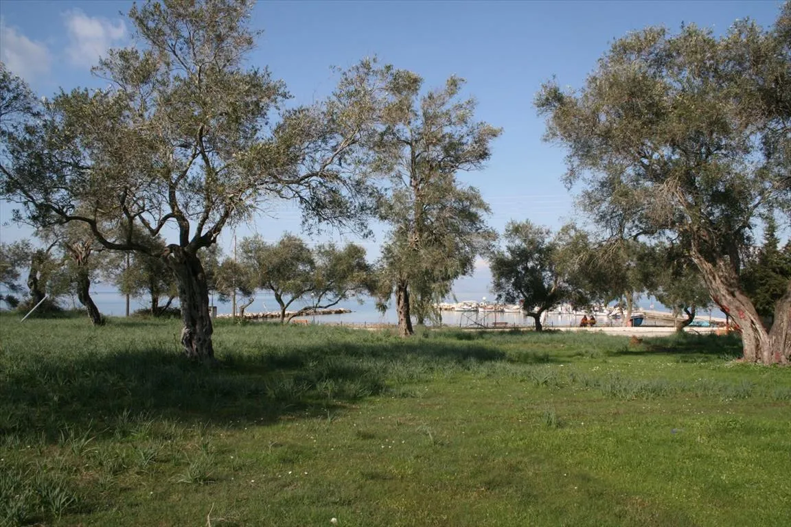 οικόπεδο προς πώληση 21083 τ.μ Κέρκυρα Νομός Κέρκυρας