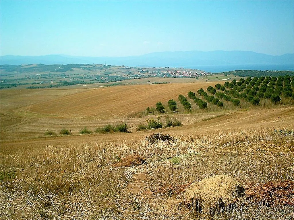 οικόπεδο προς πώληση 11200 τ.μ Αριστοτέλης Χαλκιδική