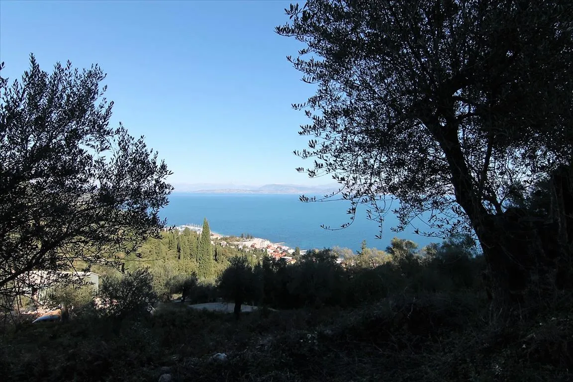 οικόπεδο προς πώληση 9000 τ.μ Κέρκυρα Νομός Κέρκυρας